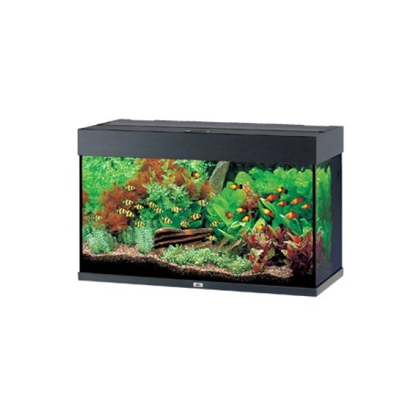 Juwel Rio Akvarie 125 L. Sort med ledlys L 81 b 36 X 50 cm (01350) Kun afhentning. - Juwel -