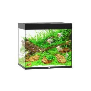 Juwel Lido Sort Akvarie 200 L. med ledlys 70x51x65CM (11930)