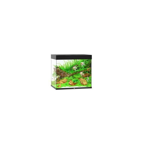 Juwel Lido Sort Akvarie 200 L. med ledlys 70x51x65CM (11930)