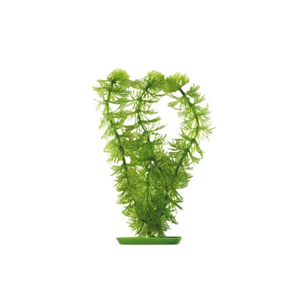 PLASTIKPLANTE Hornwort 20 cm (PP812)