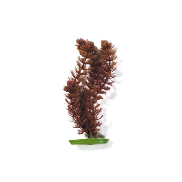 PLASTIKPLANTE Foxtail 30 cm (1210)