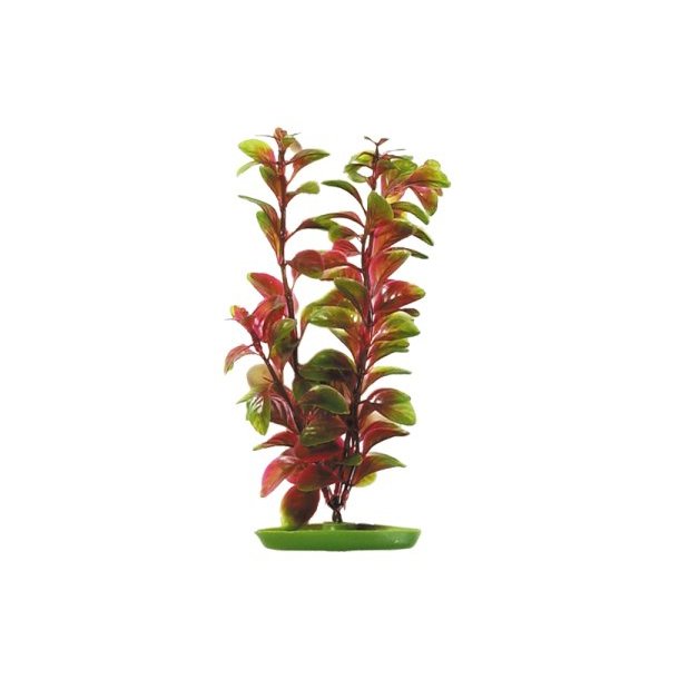 PLASTIKPLANTE RD Ludwigia 20 cm (819)