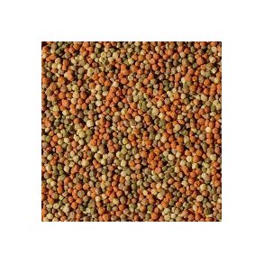 Tropical POND PELLET MIX S 5L / 650g (41205)