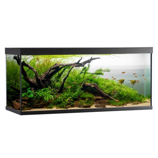 AkvaStabil ELEMENT Akvarium sort - 240 liter  120x40x53 cm bestillingsvare kun afhentning