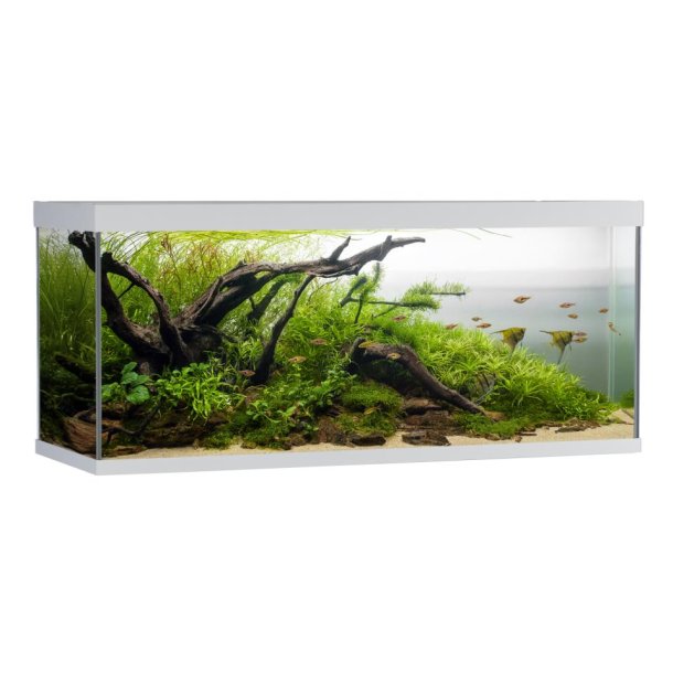 AkvaStabil ELEMENT Akvarium hvid - 240 liter 120x40x53 cm bestillingsvare kun afhentning