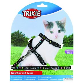 Kattesele til killing