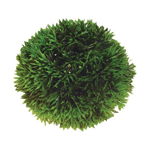 Hobby Plant Ball Grn 9cm