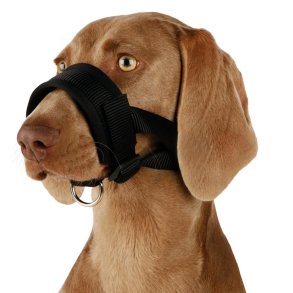  Mundkurvstrop  Str. 3