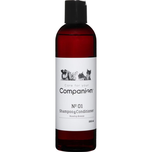 Companion 2 in 1 shampoo 250ml 