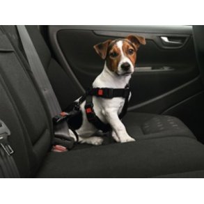 Flamingo BILSELE S/M 40-60CM