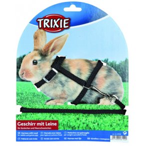 Kaninsele med metalls.