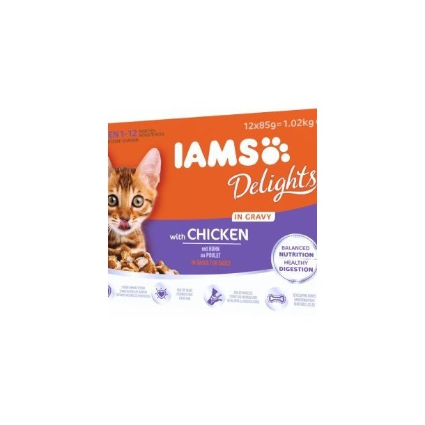 IAMS Kitten in Gravy 12 x 85 g