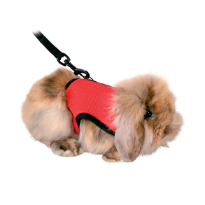 sele Soft  t /Marsvin 18-25cm