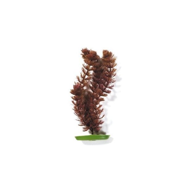 PLASTIKPLANTE Foxtail 20 cm (PP810)