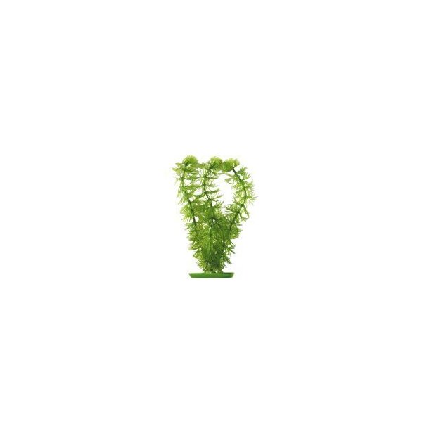 PLASTIKPLANTE Hornwort 30 cmpp1212)