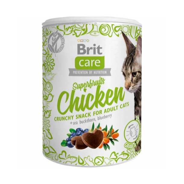 Brit Snack Superfruits kylling 100 g