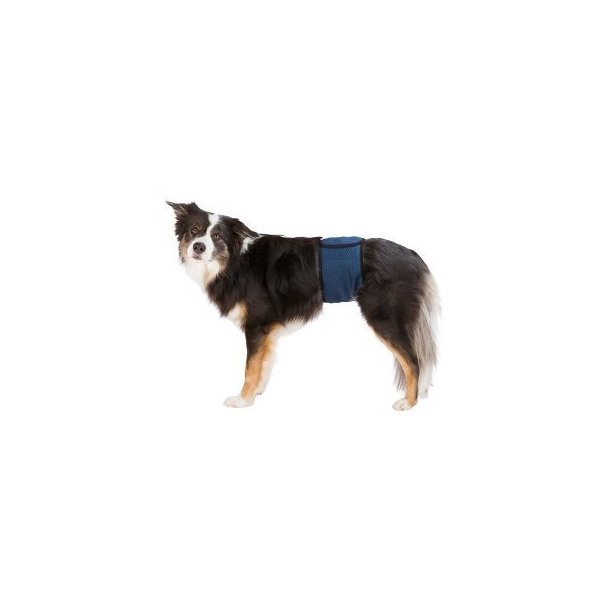 Maveblte til hanhunde Bl S-M 37-45 cm bestillingsvarer