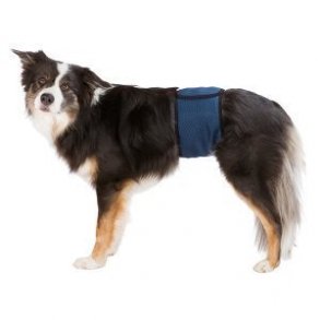 Maveblte til hanhunde Bl XL 65-75 cm. bestillingsvarer