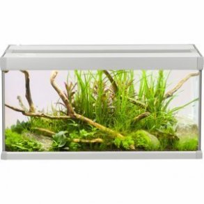 Family akvarie  54 L Hvid 60x30x32 cm Bestillingsvarer  (Kun afhentning)