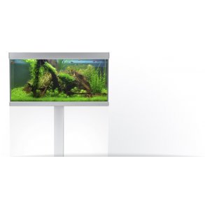 FUSION akvarium 130x50x54 cm, 325 L, slv/hvid kun afhentning Bestillingsvarer 2 til 8 dage