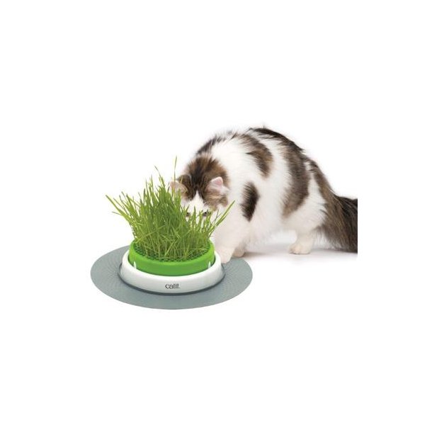 Catit Senses 2.0 til grs Planter 24x24x13 cm  H43161 