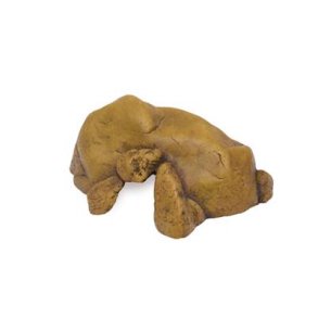 Exo Terra Hule, Large 29x23.5x7.5CM