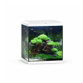 Juwel Akvarium Vio Cube 54 Hvid 41x36x47cm 54l Bestillings varer 2 til ( dage
