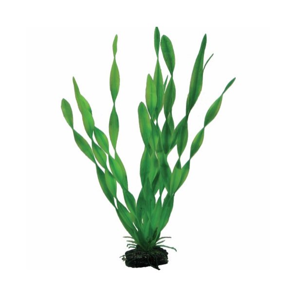  Vallisneria plast 20 cm ( P41507) 