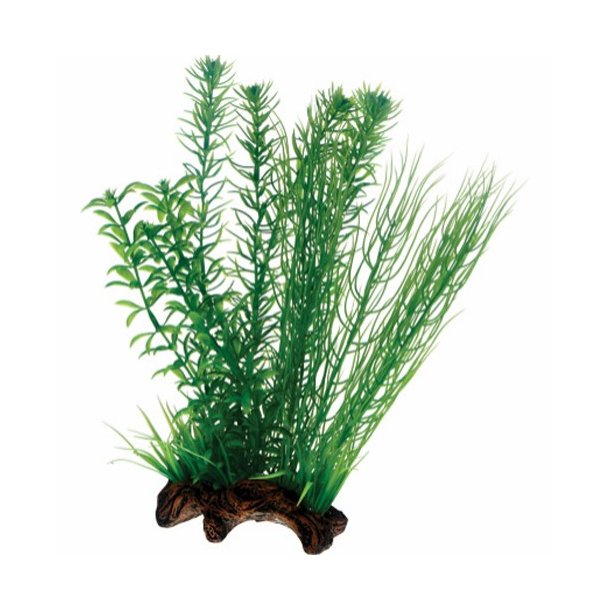 Hobby  Plastik planteFlora Root 2  30 cm   (P51596)