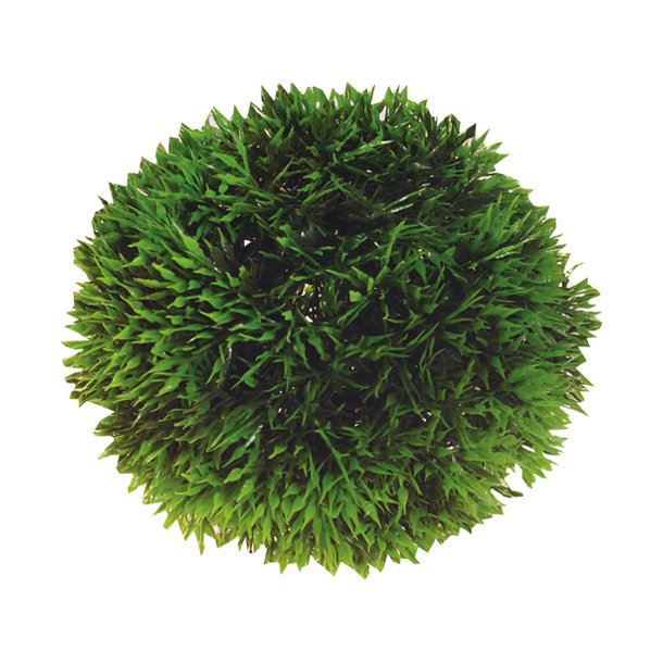 Plant Ball, 9 cm