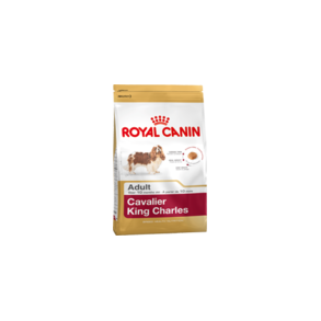 Cavalier King Charles Adult 1,5 Kg.