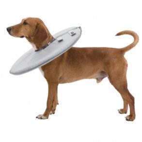  BeskyttelseskraveFarve: Gr  Halsml M: 38-42 cm