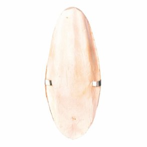 Sepiaskaller med holder  12 cm