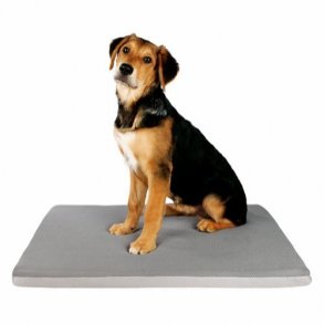 Trixie junior hyggetppe m. bjrn, plys, 75x50cm.