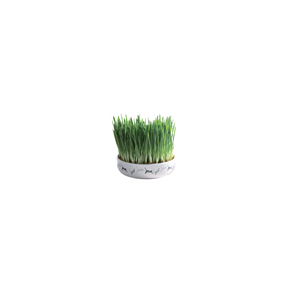 Keramikskl til kattegrs,  15 x 4 cm