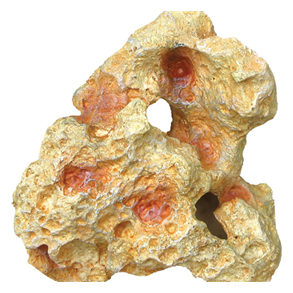 Cavity Stone 1. 16x15x8 cm