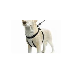 Easy Walker og Easy Leader